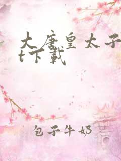 大唐皇太子txt下载