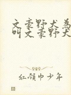 文豪野犬为什么叫文豪野犬