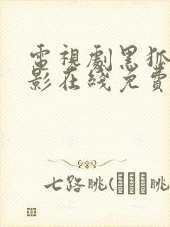 电视剧黑狐之风影在线免费观看