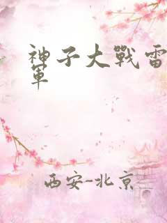 神子大战雷电将军