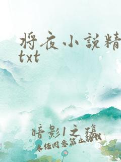 将夜小说精校版txt