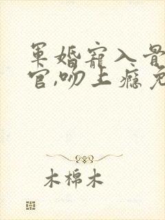 军婚宠入骨:长官,吻上瘾免费阅读