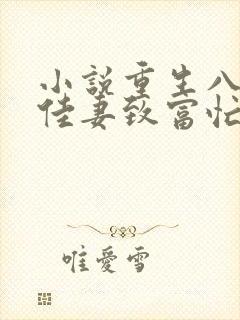 小说重生八零:佳妻致富忙下载