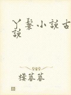 丫鬟小说古言小说