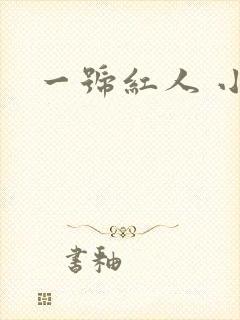 一号红人 小说