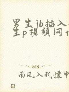 男生jb插入女生p视频网站