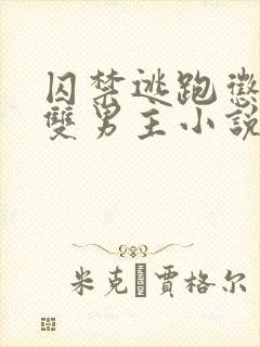 囚禁逃跑惩罚的双男主小说免费阅读