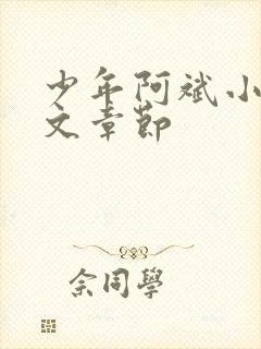 少年阿斌小说全文章节