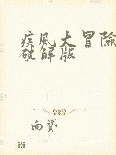 疾风大冒险下载破解版