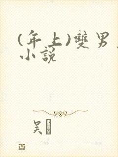 (年上)双男主小说