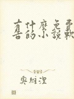 有什么免费无广告的小说软件