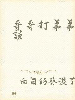 哥哥打弟弟的小说