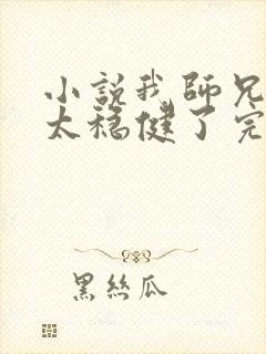 小说我师兄实在太稳健了完本txt