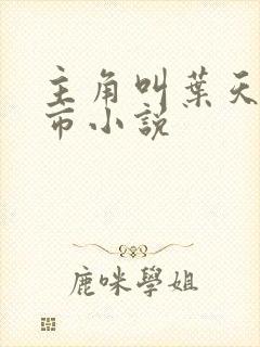 主角叫叶天的都市小说