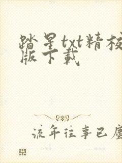 踏星txt精校版下载