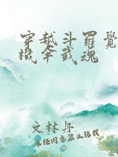 穿越斗罗觉醒千机伞武魂