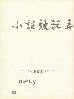 小说被玩弄调教