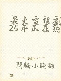 最火电视剧2025年正在热播排行榜前十名