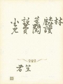 小说叶麟林皓雪免费阅读