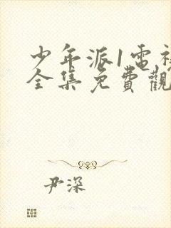 少年派1电视剧全集免费观看视频