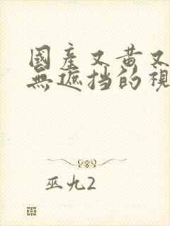 国产又黄又爽又无遮挡的视频