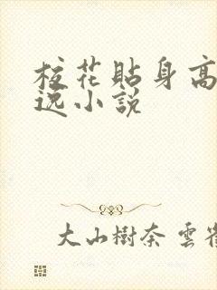 校花贴身高手林逸小说