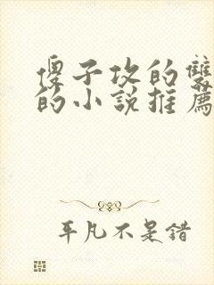 傻子攻的双男主的小说推荐