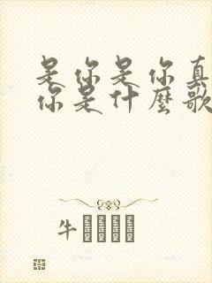 是你是你真的是你是什么歌