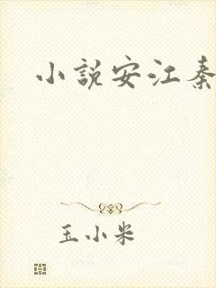 小说安江秦盼儿