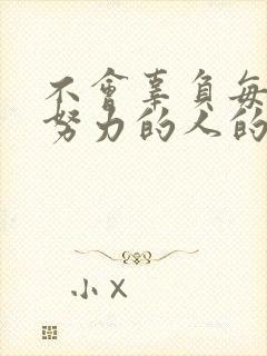 不会辜负每一个努力的人的经典句