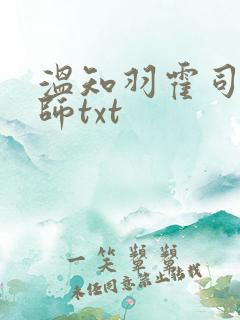 温知羽霍司砚律师txt