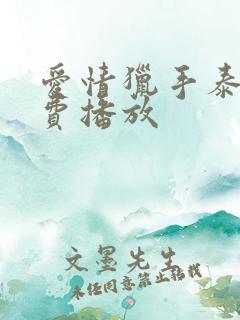 爱情猎手泰剧免费播放