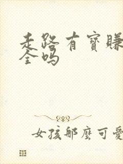 走路有宝赚钱安全吗