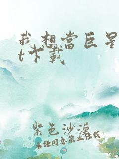 我想当巨星txt下载