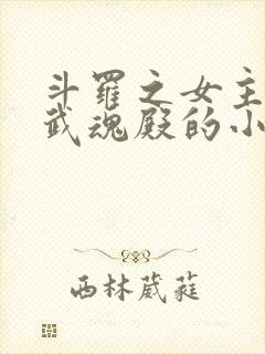 斗罗之女主加入武魂殿的小说