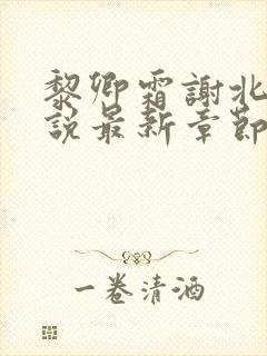 黎卿霜谢北渊小说最新章节阅读地址