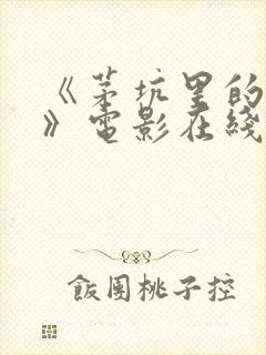 《茅坑里的僵尸》电影在线