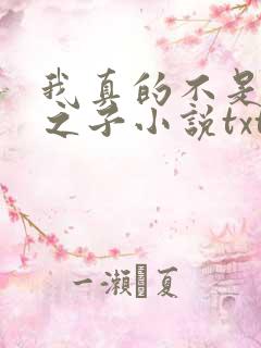 我真的不是气运之子小说txt