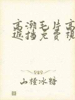 高潮毛片高清无遮挡免费视频