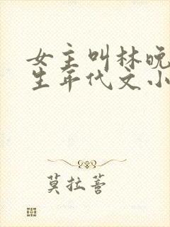 女主叫林晚的重生年代文小说