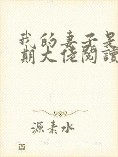 我的妻子是大乘期大佬阅读全文
