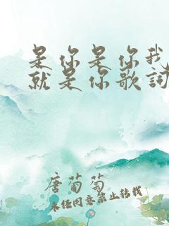 是你是你我爱的就是你歌词是什么歌