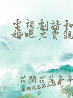 电视剧请和我结婚吧免费观看