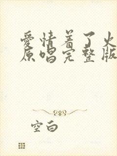 爱情着了火dj原唱完整版