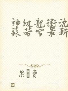 神级龙卫沈浪与苏若雪最新章节