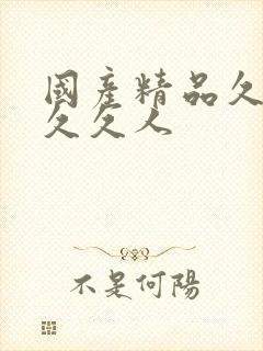 国产精品久久久久久人