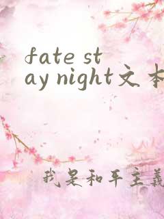 fate stay night文本量