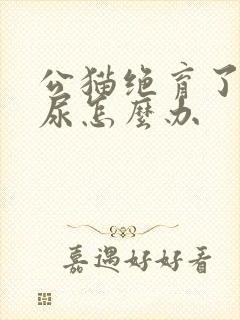 公猫绝育了还乱尿怎么办