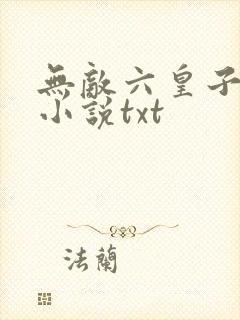 无敌六皇子云铮小说txt