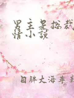 男主是总裁的言情小说